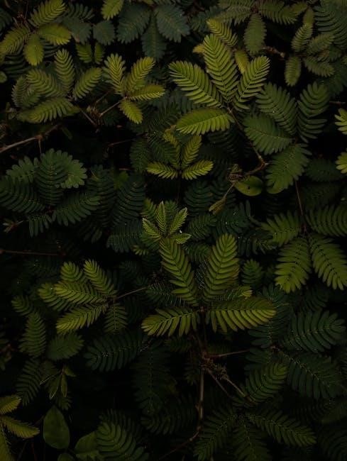 kubota service manuals pdf free download